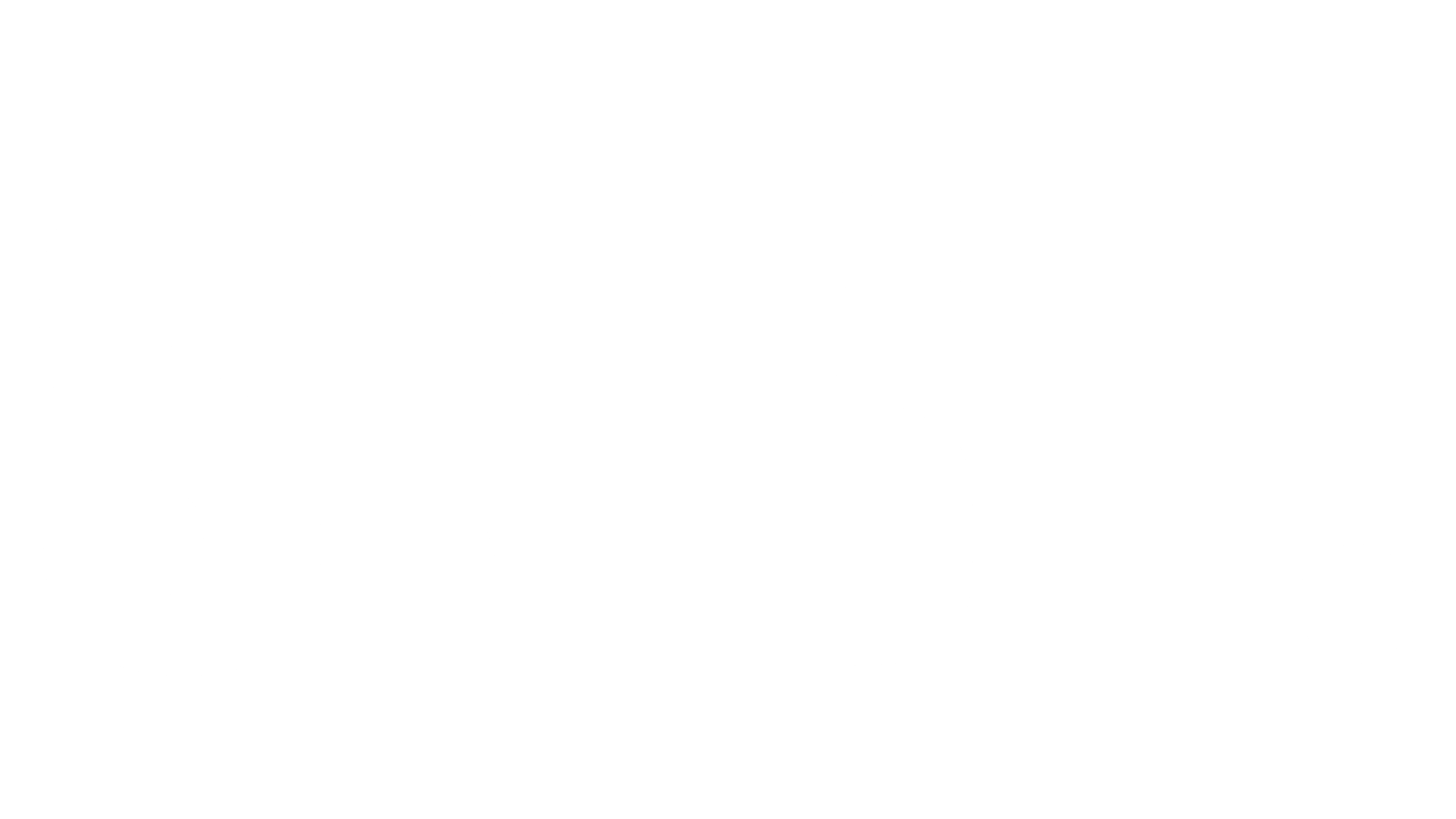 SNBT Automotive